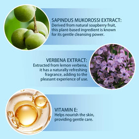 MAYLOR plant extracts flatlay highlighting natural, plant-based formula