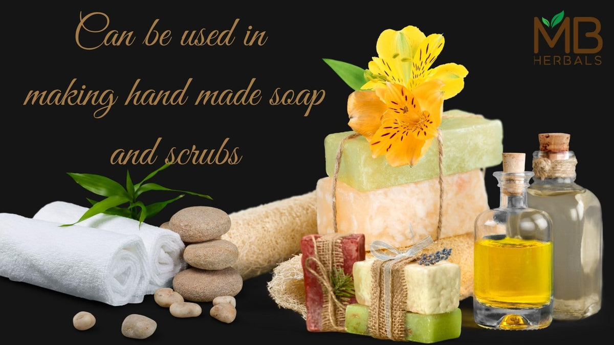 MB Herbals powder on spoon next to fruit for size comparison and portioning