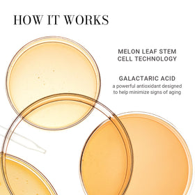 Meaningful Beauty cleanser in hand during use illustrating gentle application