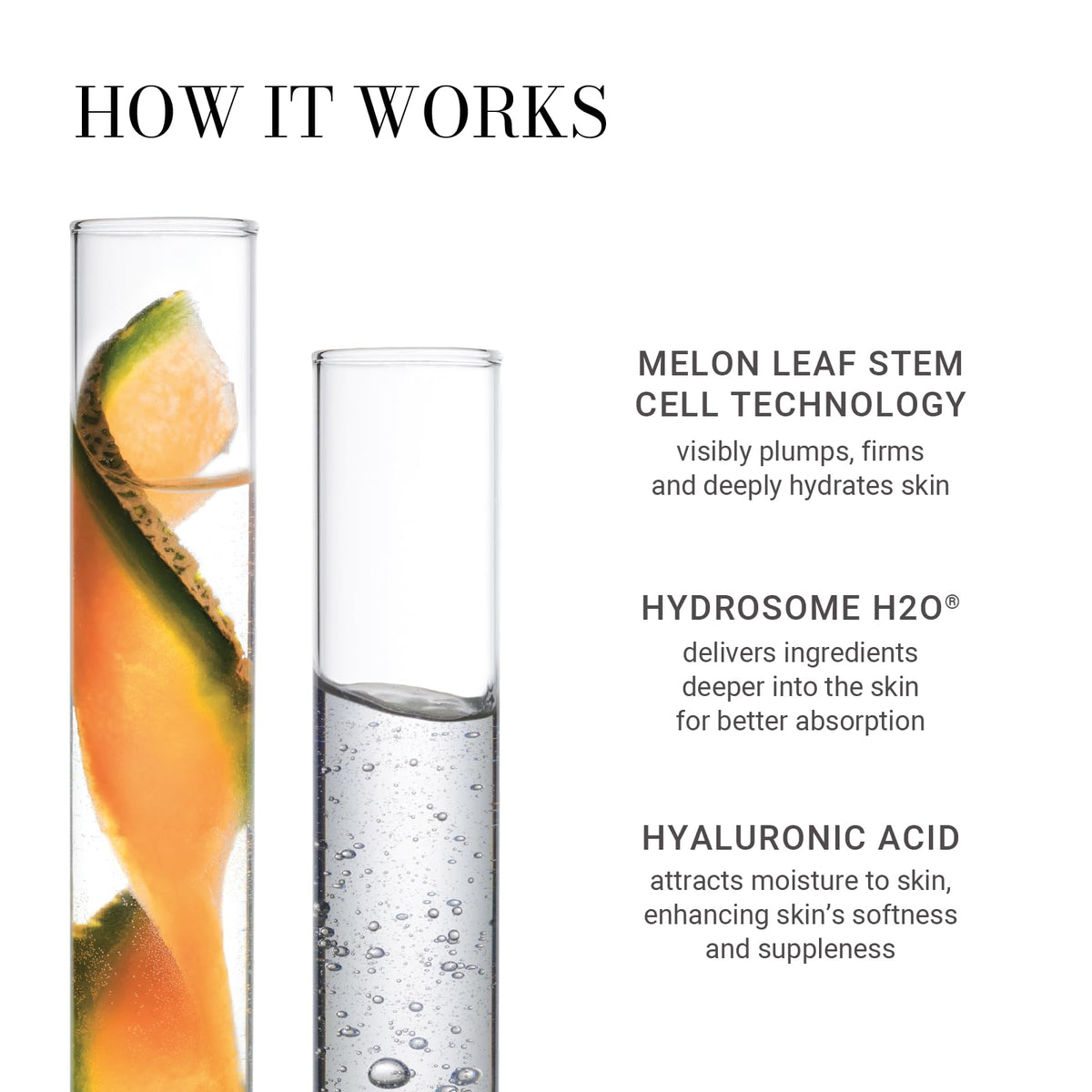 Meaningful Beauty melon leaf extract visual highlighting antioxidant benefit