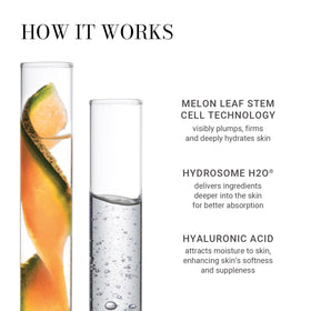 Meaningful Beauty melon leaf extract visual highlighting antioxidant benefit