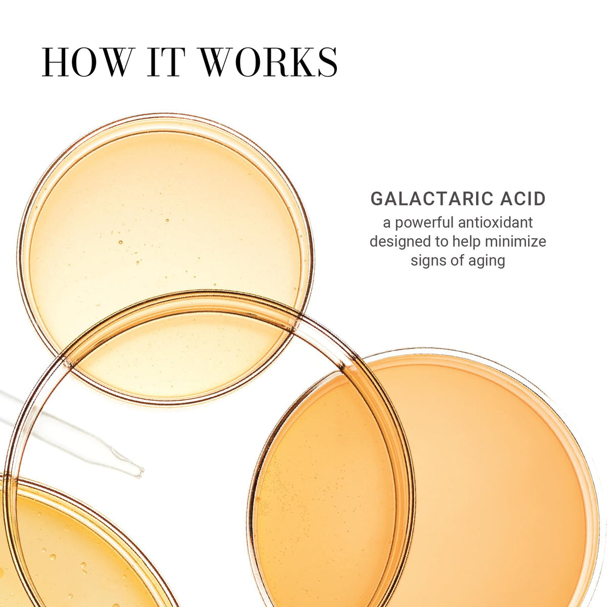meaningful beauty ingredients label highlighting gentle, fragrance-free benefit