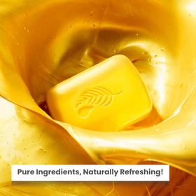 Melaleuca gold bar in hand producing foam for easy everyday use