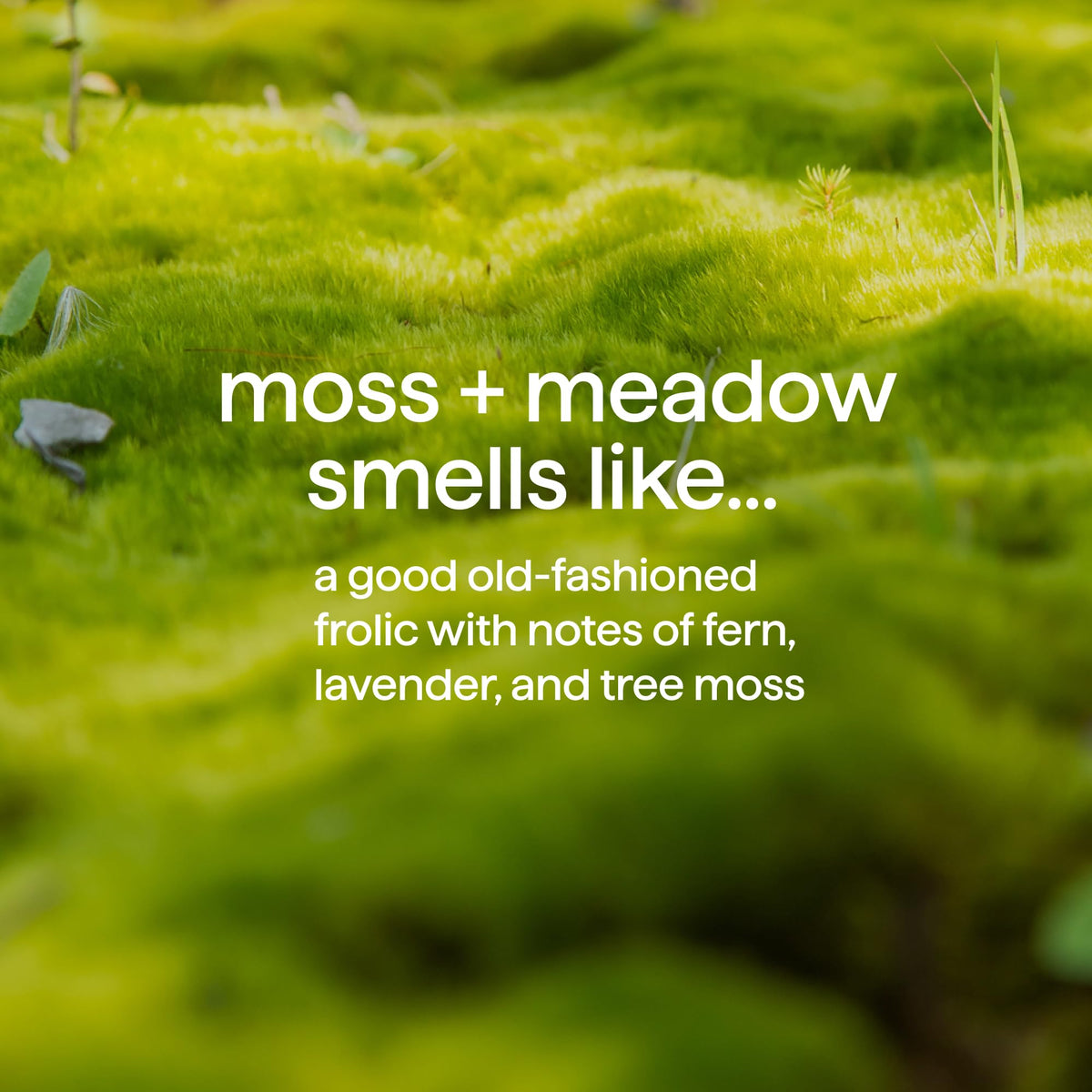 Method moss + meadow pump closeup illustrating easy dispensing and recycled bottle