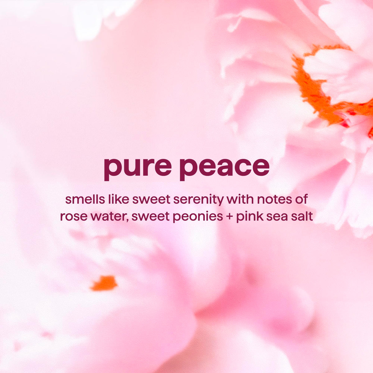 Method Pure Peace ingredient label highlighting gentle formulation benefits
