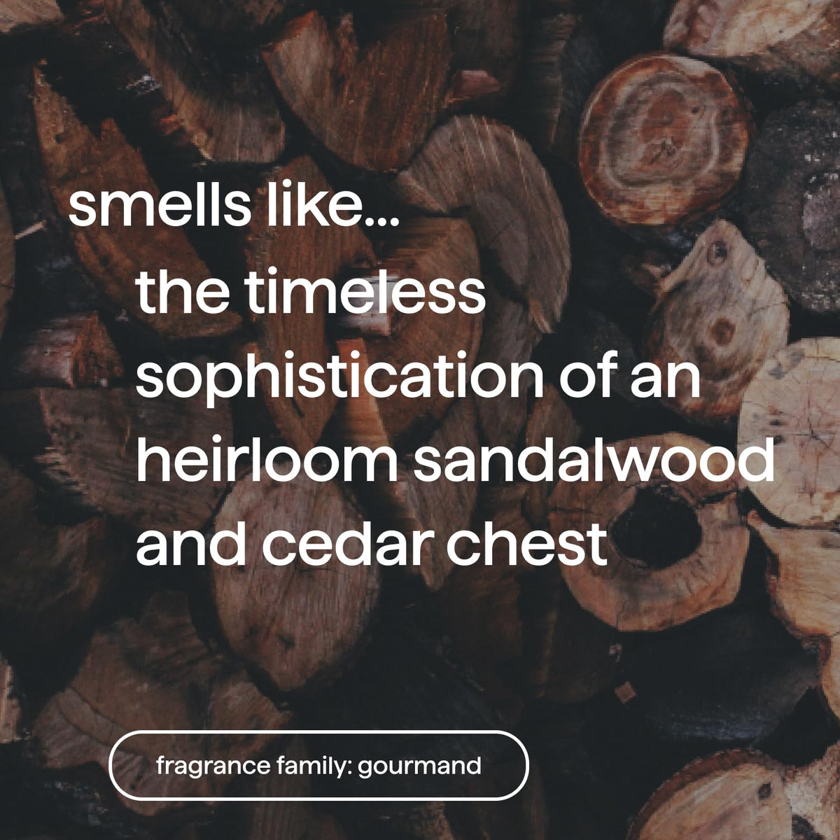 Method Sandalwood + Cedar foam close-up on palm, shows rich lather and gentle cleanse