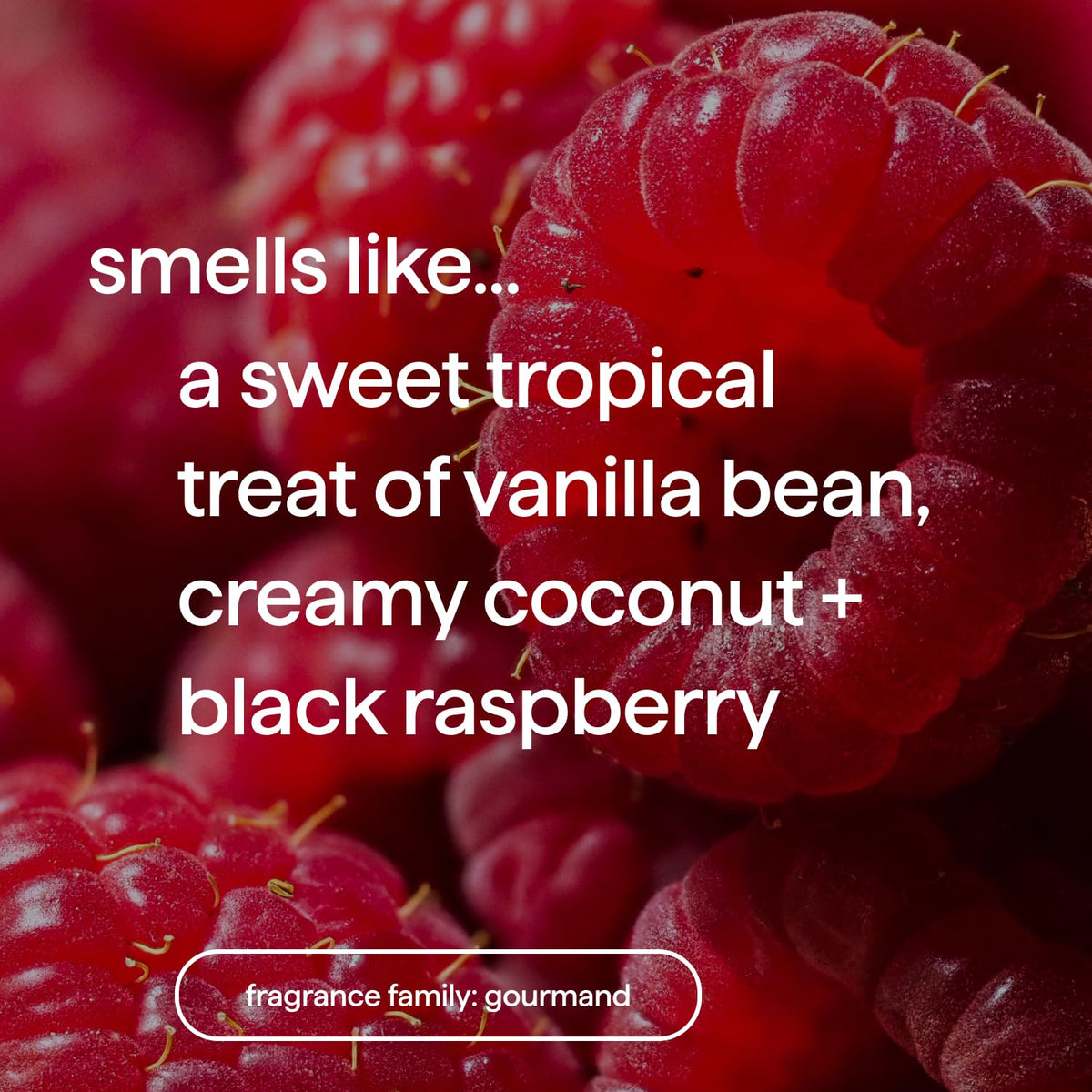 Method vanilla raspberry gel texture close-up highlighting gentle lather