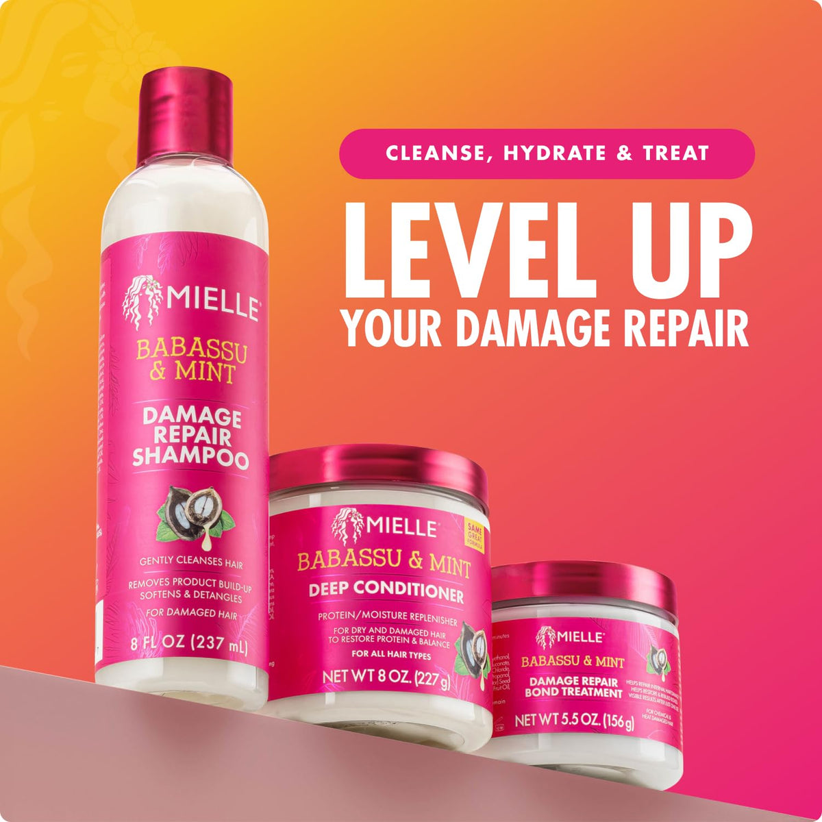 Mielle Organics results: diffused dry defined curls showing enhanced definition and softness
