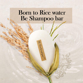 mimosu biodegradable paper packaging emphasizing zero-waste