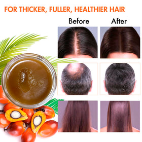 MISICH applying batana paste to scalp demonstrating targeted nourishment benefit