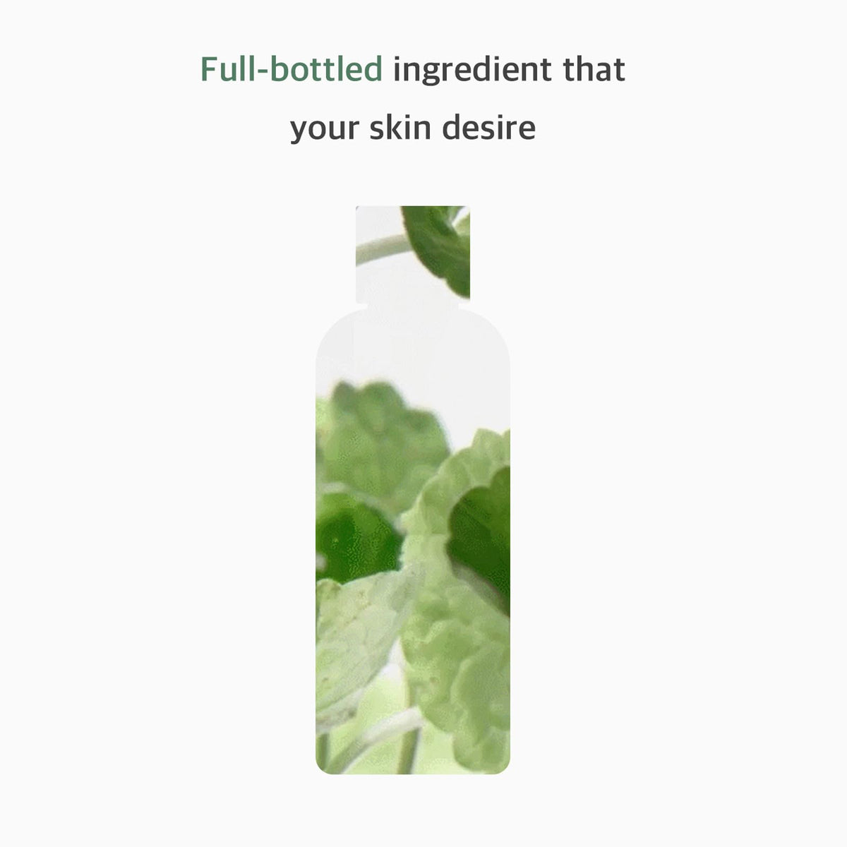 mixsoon toner texture close-up on hand, fast-absorbing hydration benefit