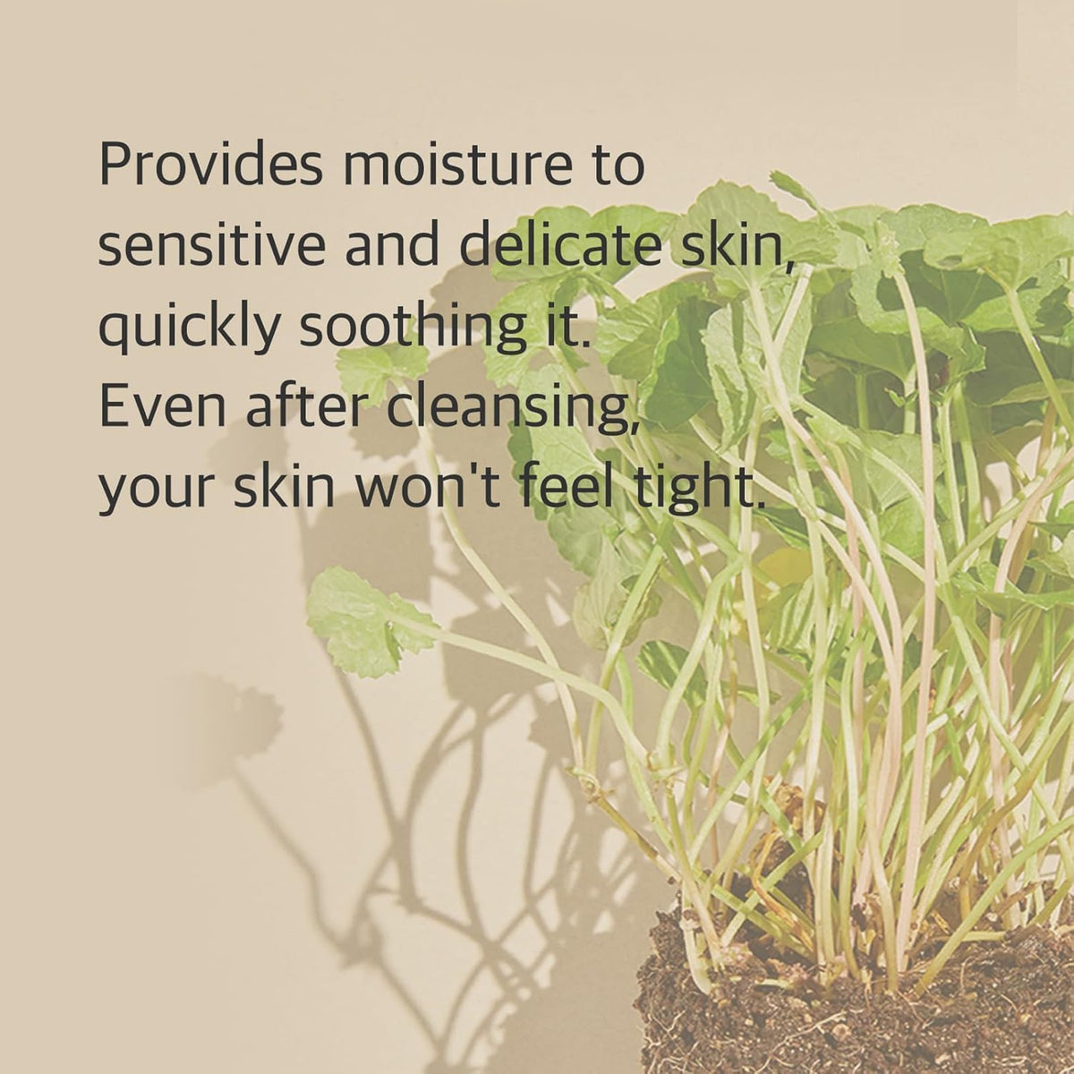 mixsoon ingredients display centella and salicylic visuals highlighting soothing benefit