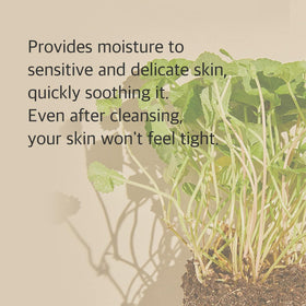 mixsoon ingredients display centella and salicylic visuals highlighting soothing benefit