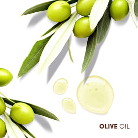 Mizani oils and botanicals closeup, communicates nourishing ingredient benefits