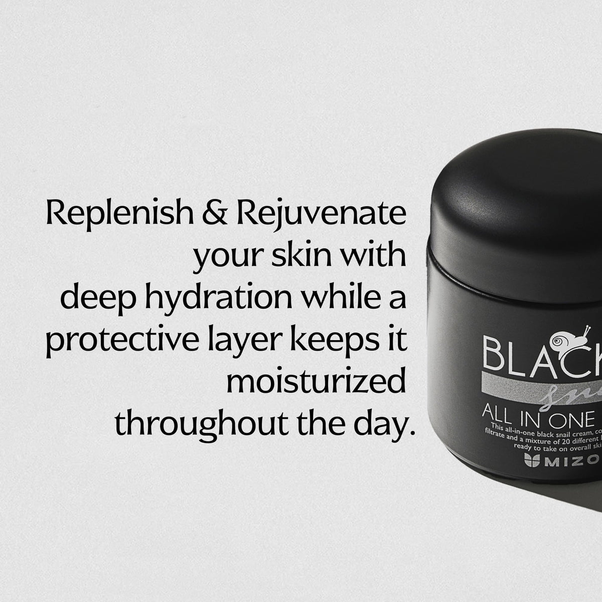 MIZON botanical ingredients spotlight highlighting natural extracts benefits