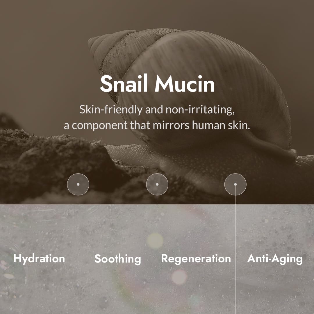 MIZON ingredient label highlighting snail mucin and plant extracts