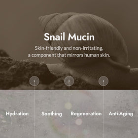 MIZON ingredient label highlighting snail mucin and plant extracts