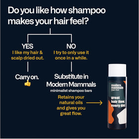 Modern Mammals lifestyle look showing styled natural volume after use