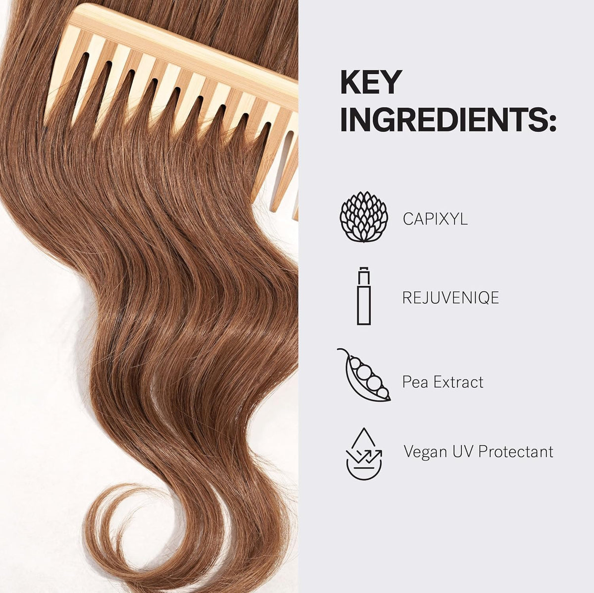 MONAT 250ml bottle next to common items showing true size and travel convenience