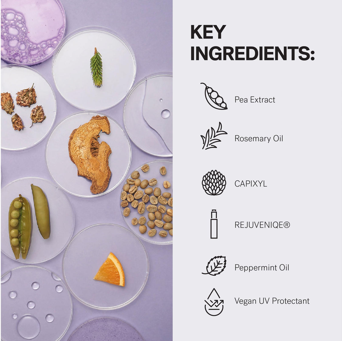 MONAT IR next to rosemary and mint illustrating natural botanicals