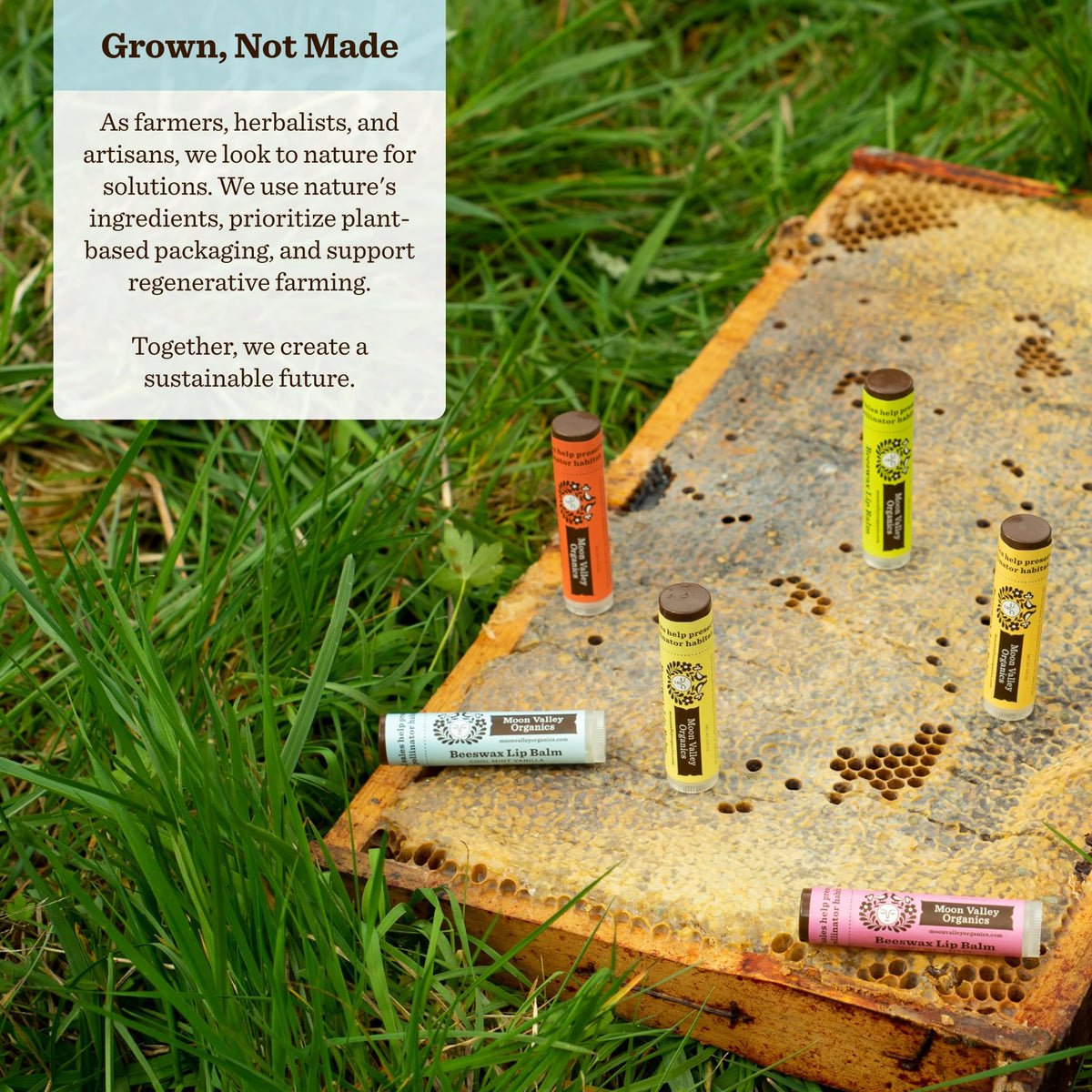 Moon Valley Organics balm being used on cuticles to soften skin and moisturize