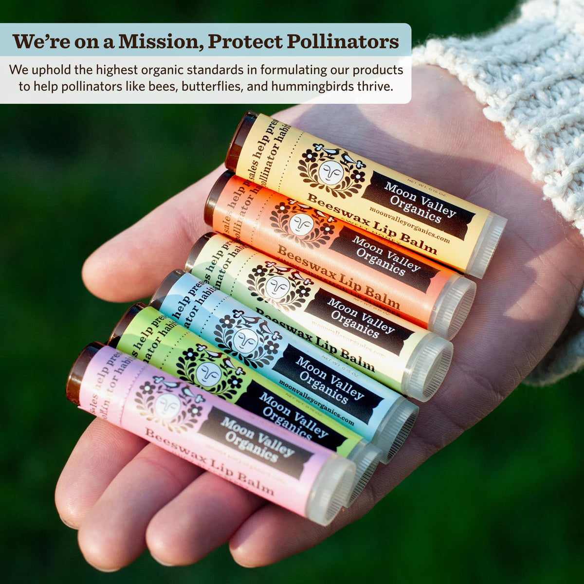 Moon Valley Organics six-pack next to coin to show travel size and portability