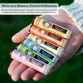 Moon Valley Organics six-pack next to coin to show travel size and portability