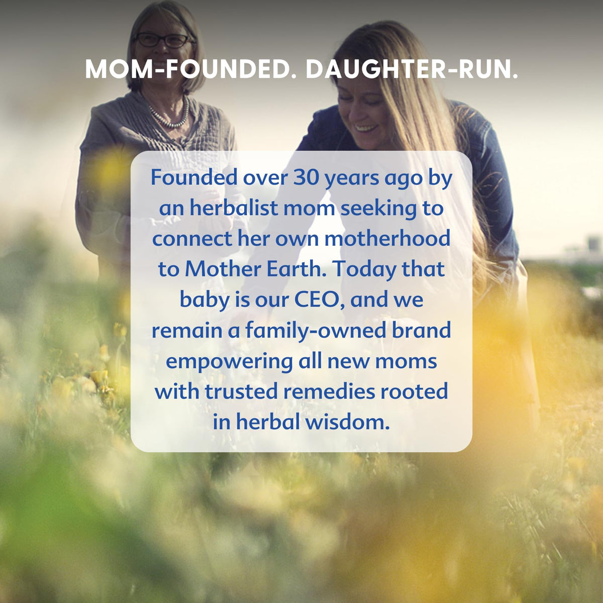 Motherlove botanicals—chamomile and calendula—showing calming plant support