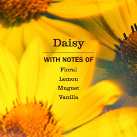 Mrs. Meyer's daisy pump closeup highlighting easy dispensing and tidy design