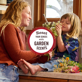 Mrs. MEYER'S ingredients label close-up highlighting plant-based, cruelty-free benefit