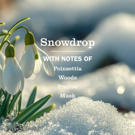 Mrs. MEYER'S pouring Snowdrop refill into pump bottle for easy, waste-reducing refill