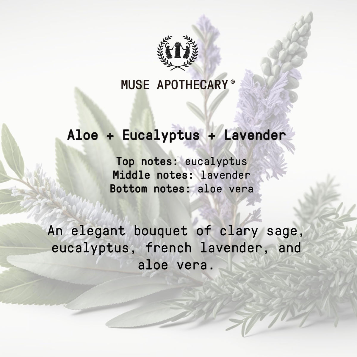 Muse Apothecary back label with ingredient list for transparent sourcing