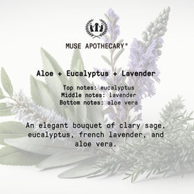 Muse Apothecary scent still life with eucalyptus and lavender notes