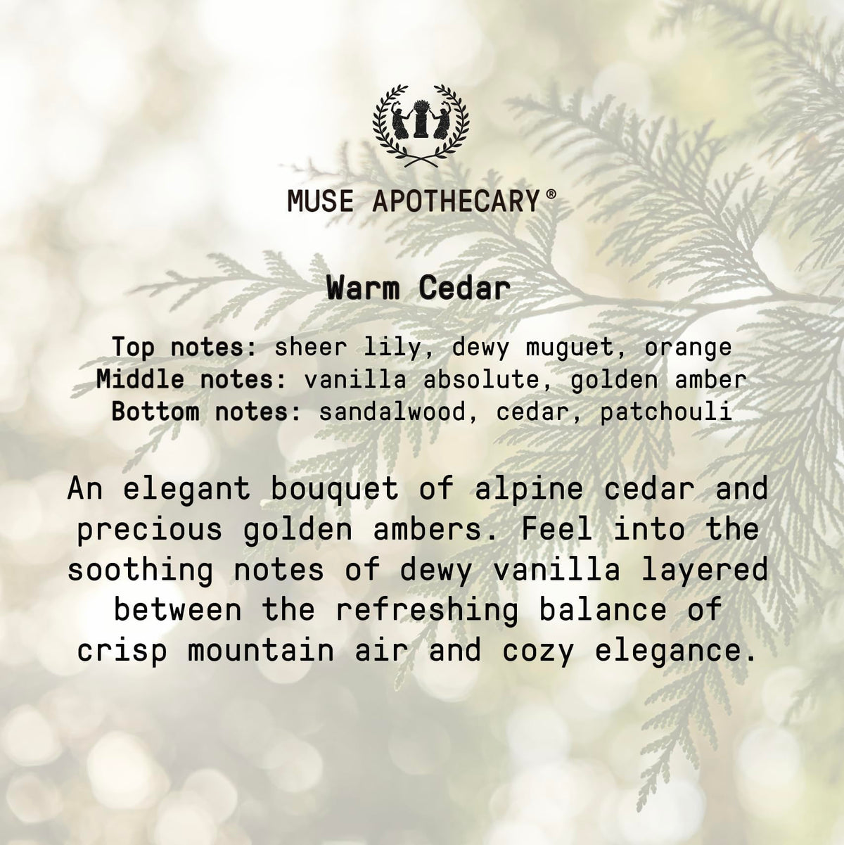 Muse Apothecary essential oils and botanicals still life indicating natural aroma benefits