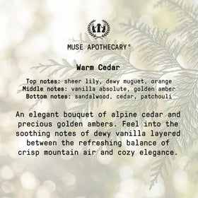 Muse Apothecary essential oils and botanicals still life indicating natural aroma benefits