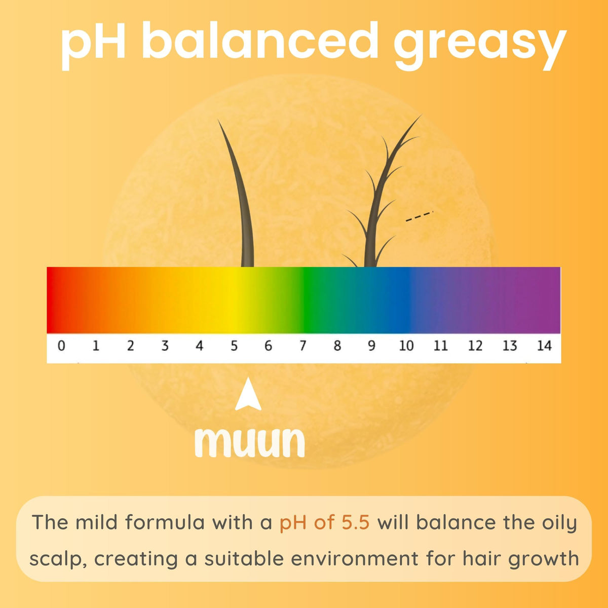 Muun shampoo bar creating lather in hand for easy cleansing