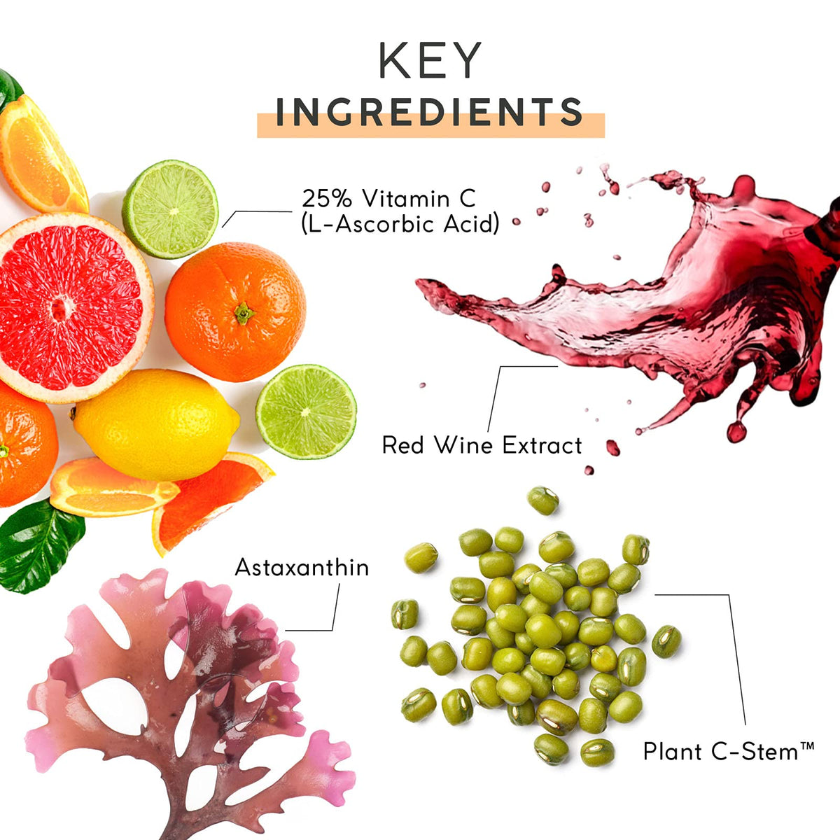 MyChelle Dermaceuticals ingredient label highlighting 25% L-Ascorbic Acid clarity