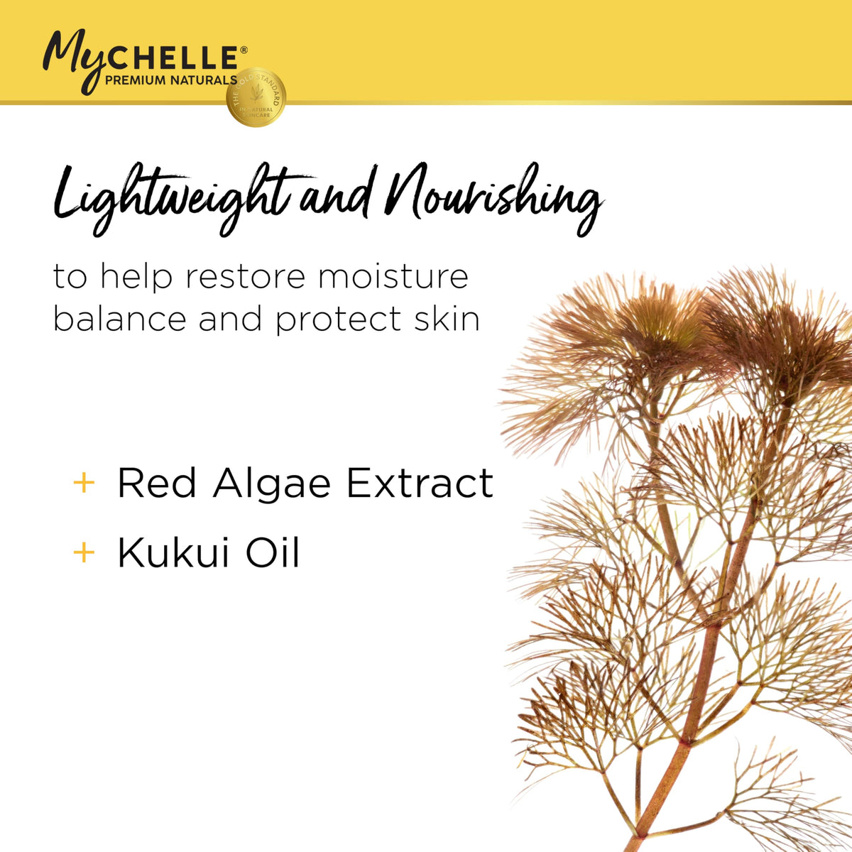 MyCHELLE lotion texture close-up highlighting smooth moisturizing finish