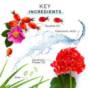 MyChelle rosehip and kombucha ingredients emphasizing antioxidant benefits