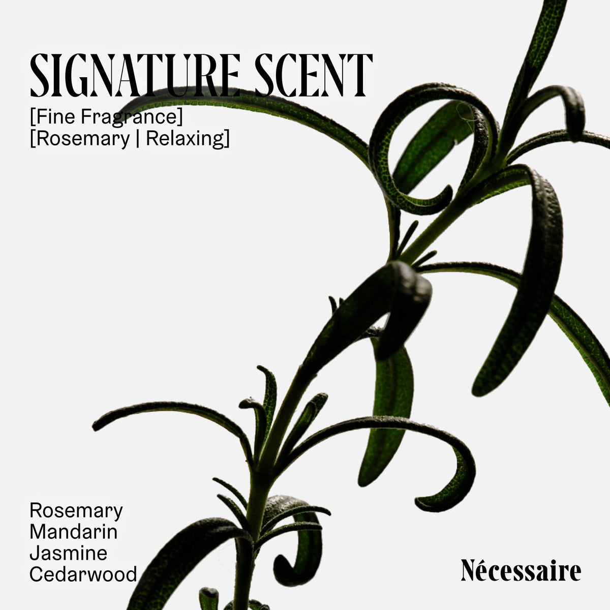 Nécessaire bottle held in hand to show 500ml scale and travel ease