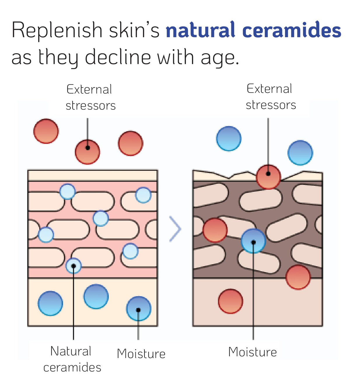 Nano Recipe concentrate texture on hand demonstrating absorption and lightweight feel