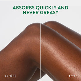 Native label detail focusing on clean formula and ingredient highlights