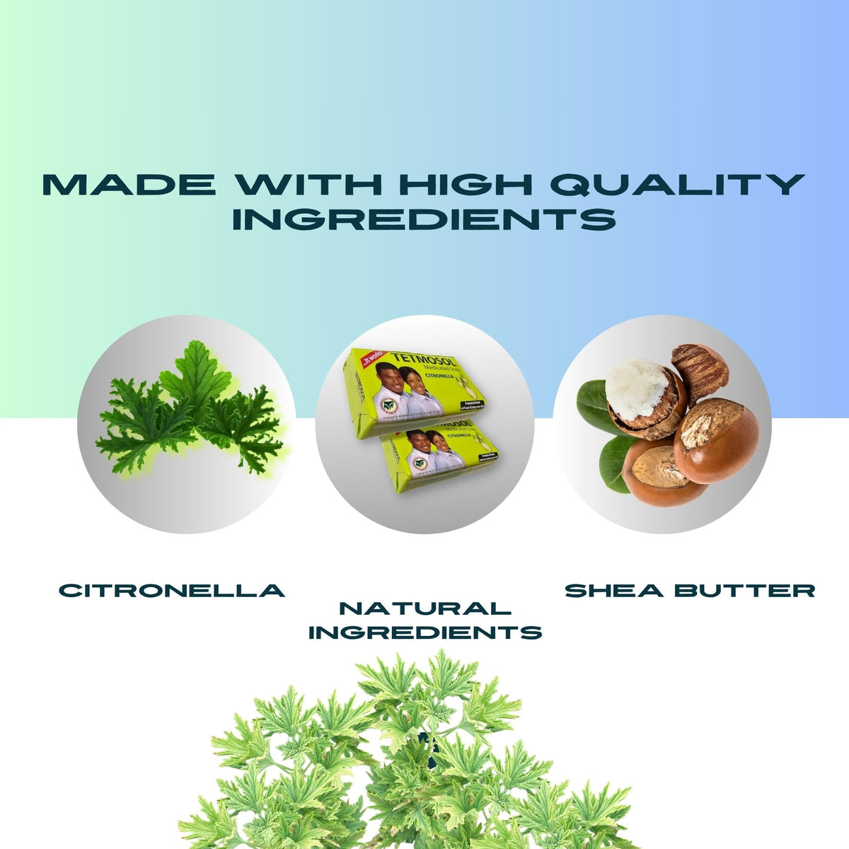 NatoGears Tetmosol label detail highlighting medicated ingredients