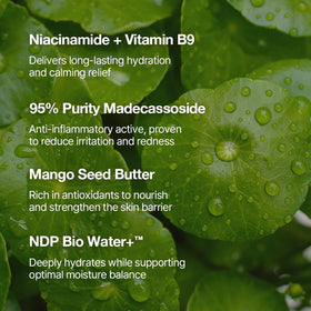 NATURAL DERMA PROJECT ingredient shot emphasizing 95% pure cica extract soothing benefits