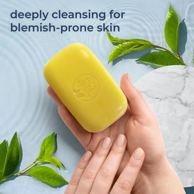 Natural Elephant soap in bathroom shower lifestyle for daily routine