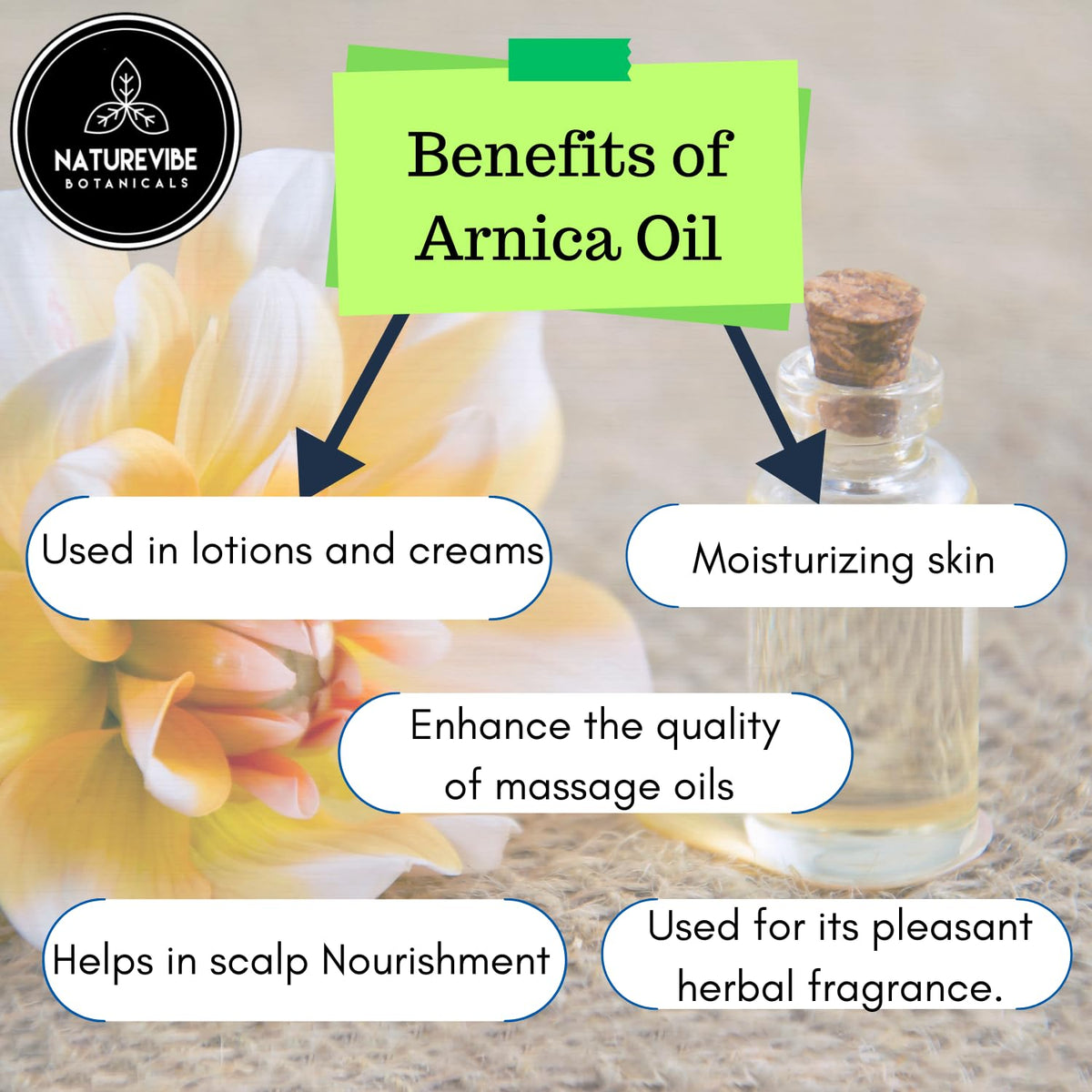 Naturevibe Botanicals arnica oil applied during massage demonstrating glide and absorbency