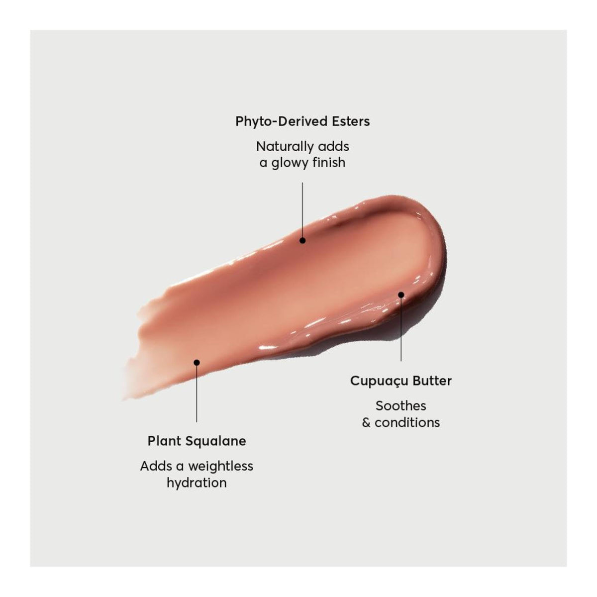 Naturium Phyto-Glow ingredients display shea and squalane highlighting nourishing action