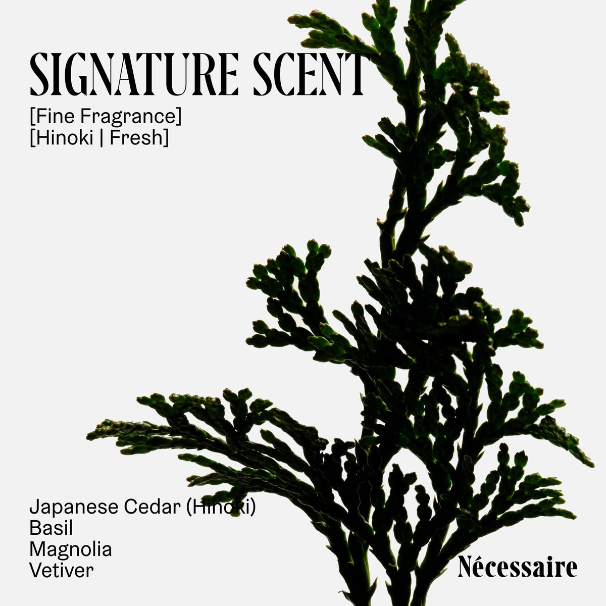 Nécessaire niacinamide and glycerin ingredients emphasize hydration benefit