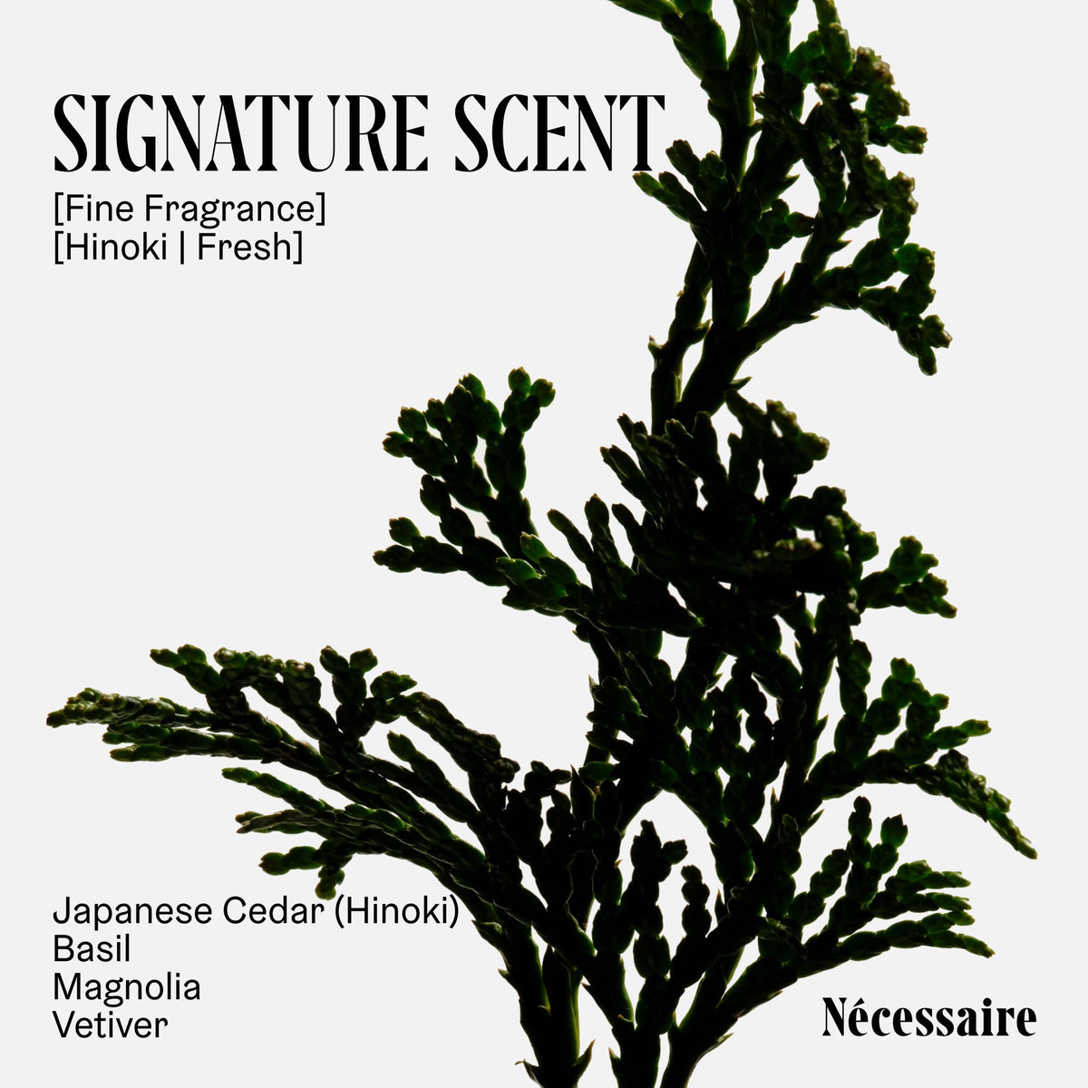 Nécessaire wash being poured into palm to show lightweight, spreadable gel