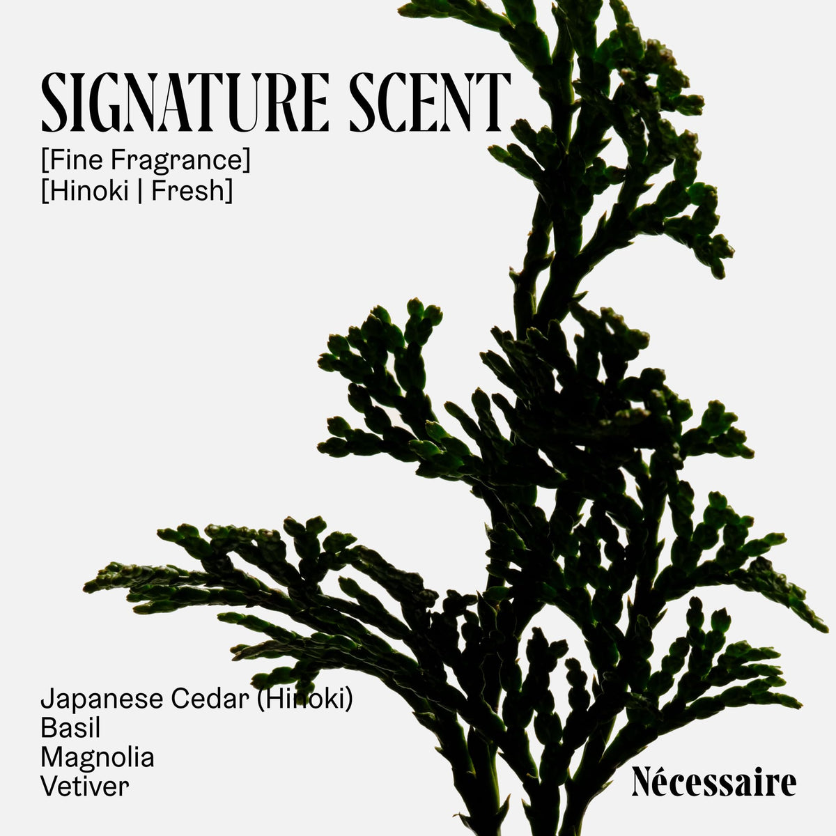 Nécessaire bottle in hand demonstrating 15.2oz scale and convenience